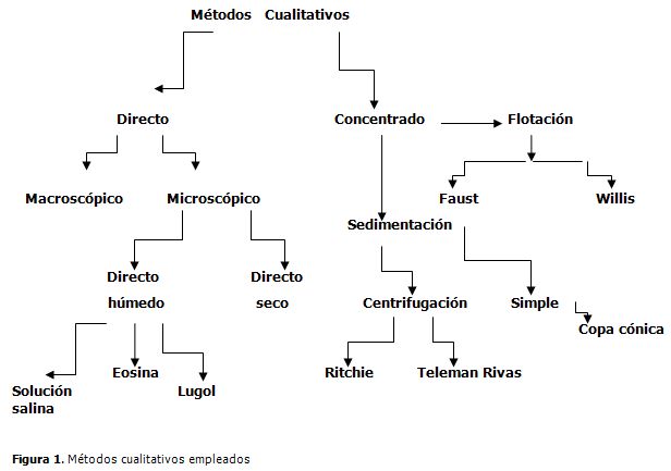 Metodos cualitativos